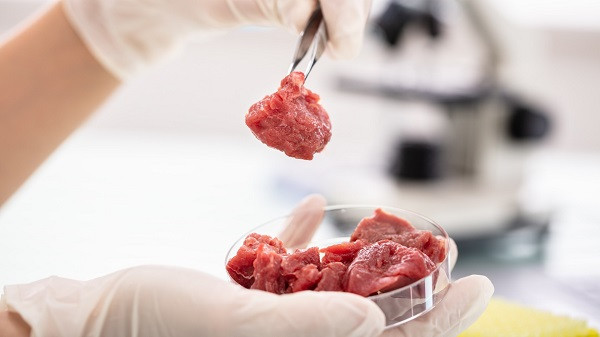 Η παραγωγή «συνθετικού» κρέατος βλάπτει σοβαρά το περιβάλλον