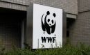 Μήνυση κατά παντός υπευθύνου από το WWF για τη ρύπανση στο Σαρωνικό