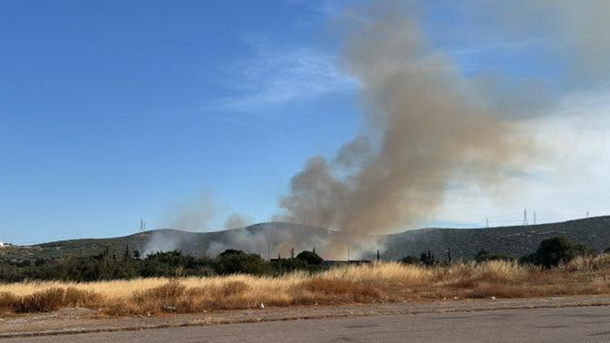 Φωτιά στην Κερατέα – Επιχειρούν πάνω από 60 πυροσβέστες