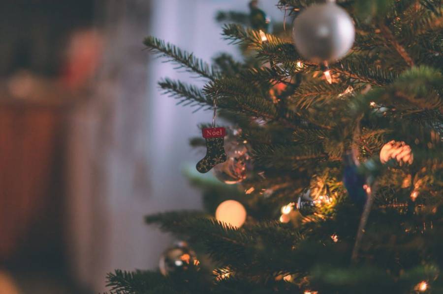 Αληθινά ή τεχνητά χριστουγεννιάτικα δέντρα; Το οικολογικό δίλημμα των γιορτών