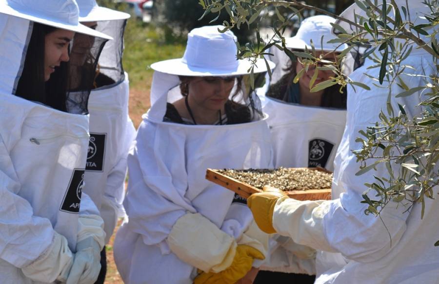 Παγκόσμια Ημέρα Μέλισσας και APIVITA είναι πια θεσμός