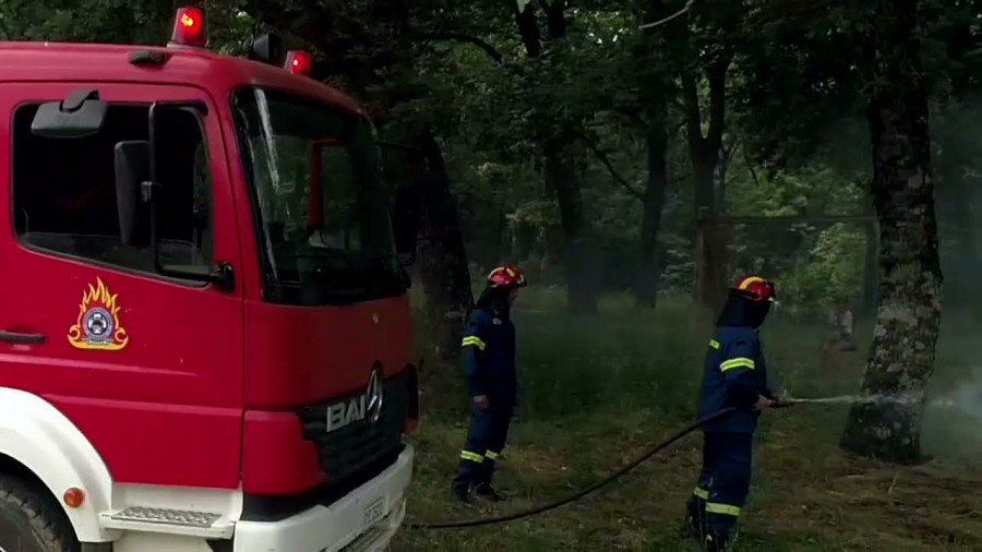 Πυροσβεστική: 23 δασικές πυρκαγιές το τελευταίο εικοσιτετράωρο