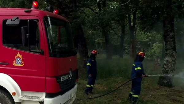 Πυροσβεστική: 23 δασικές πυρκαγιές το τελευταίο εικοσιτετράωρο