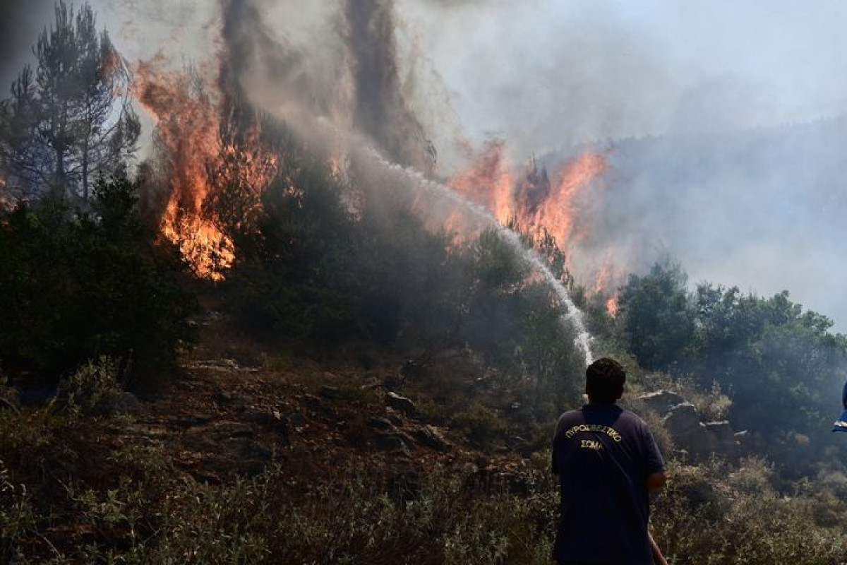 Μία σύλληψη για εμπρησμό στον Κάλαμο-32 δασικές πυρκαγιές το 24ωρο