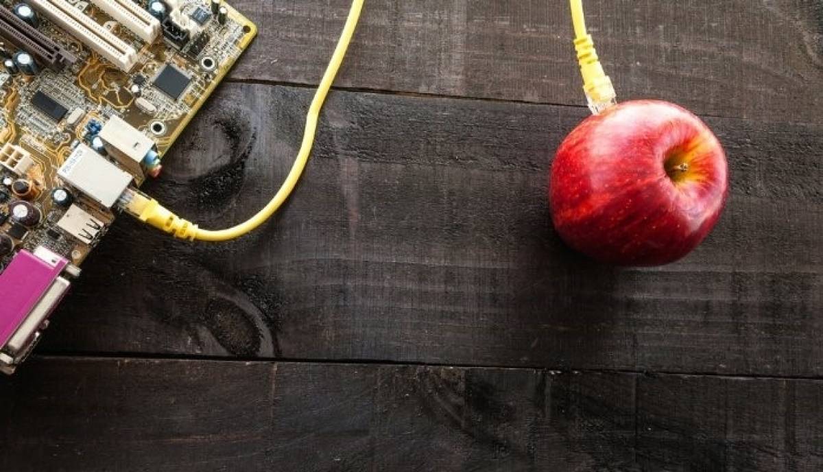 Internet of Foods: Το gadget που θα μας επιτρέπει να «διαβάζουμε» τα τρόφιμα