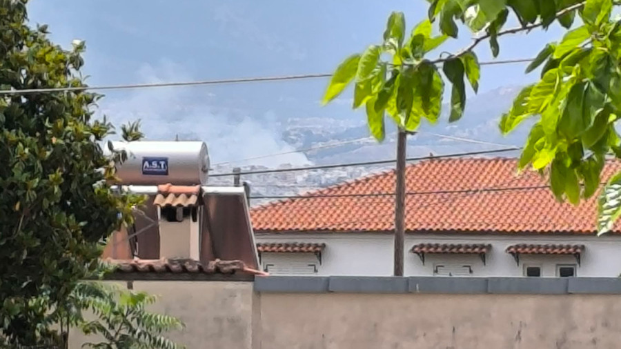 Άλσος Βεΐκου: Η φωτιά φαίνεται ότι ξεκίνησε από μελίσσια