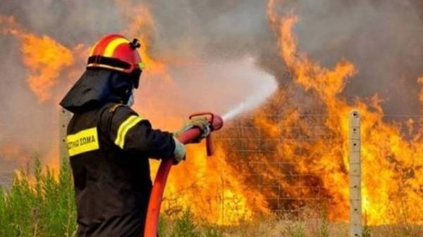 Υπό έλεγχο η πυρκαγιά στην Κύμη Ευβοίας
