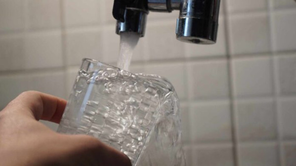 Από σαλμονέλα οι γαστρεντερίτιδες στη Μαγνησία- Πώς προέκυψαν τα κρούσματα