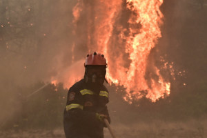 Συνελήφθη 72χρονος για τη φωτιά στον Ωρωπό: Εκτελούσε μελισσοκομικές εργασίες