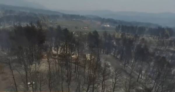 Φωτιές: Καμένες εκτάσεις 180% πάνω από τον μέσο όρο 2008-20
