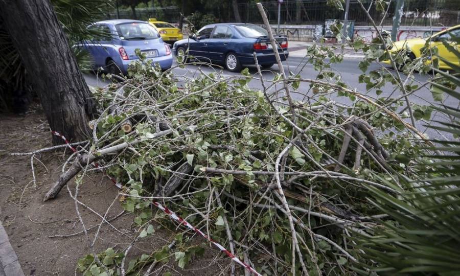 Σε επιφυλακή ο Δήμος Αθηναίων εξαιτίας θερμοκρασιών και ανέμων