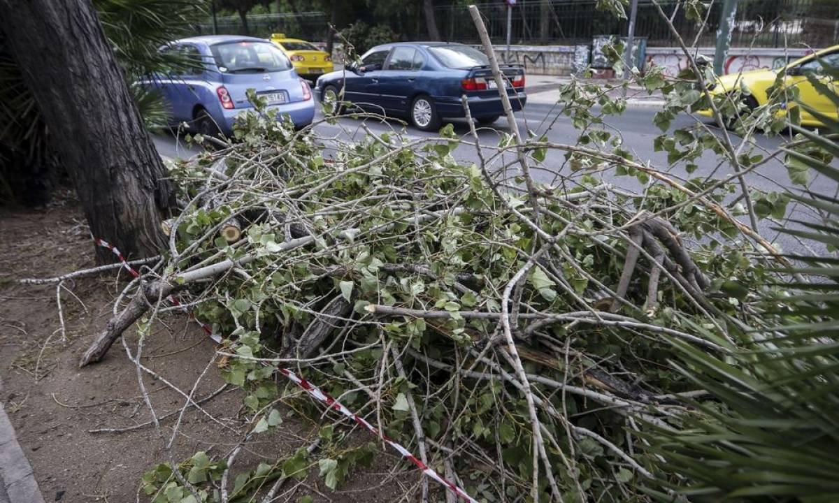 Σε επιφυλακή ο Δήμος Αθηναίων εξαιτίας θερμοκρασιών και ανέμων
