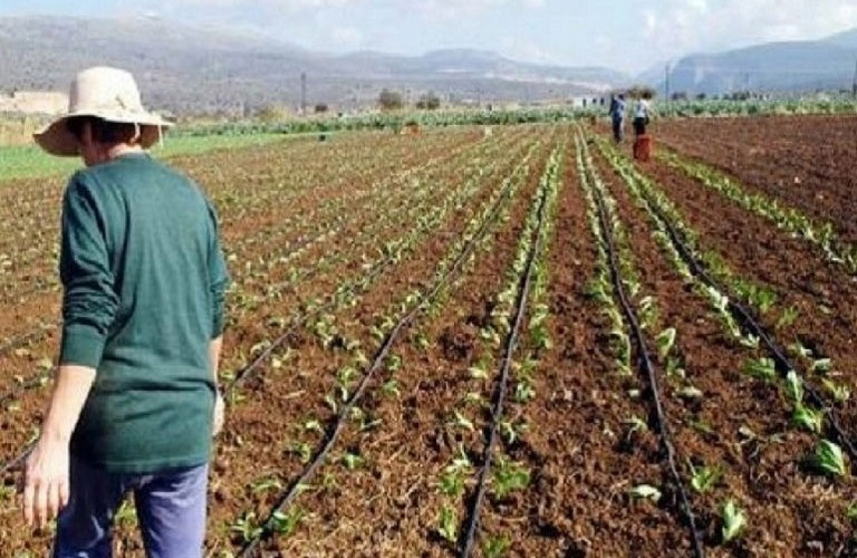 Αύξηση 9,8% του δείκτη τιμών εκροών στη γεωργία-κτηνοτροφία τον Ιούνιο