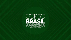 COP30: Η «αυτοπαγίδευση» του προοδευτικού κινήματος και η ευκαιρία για επαναπροσδιορισμό της βιωσιμότητας