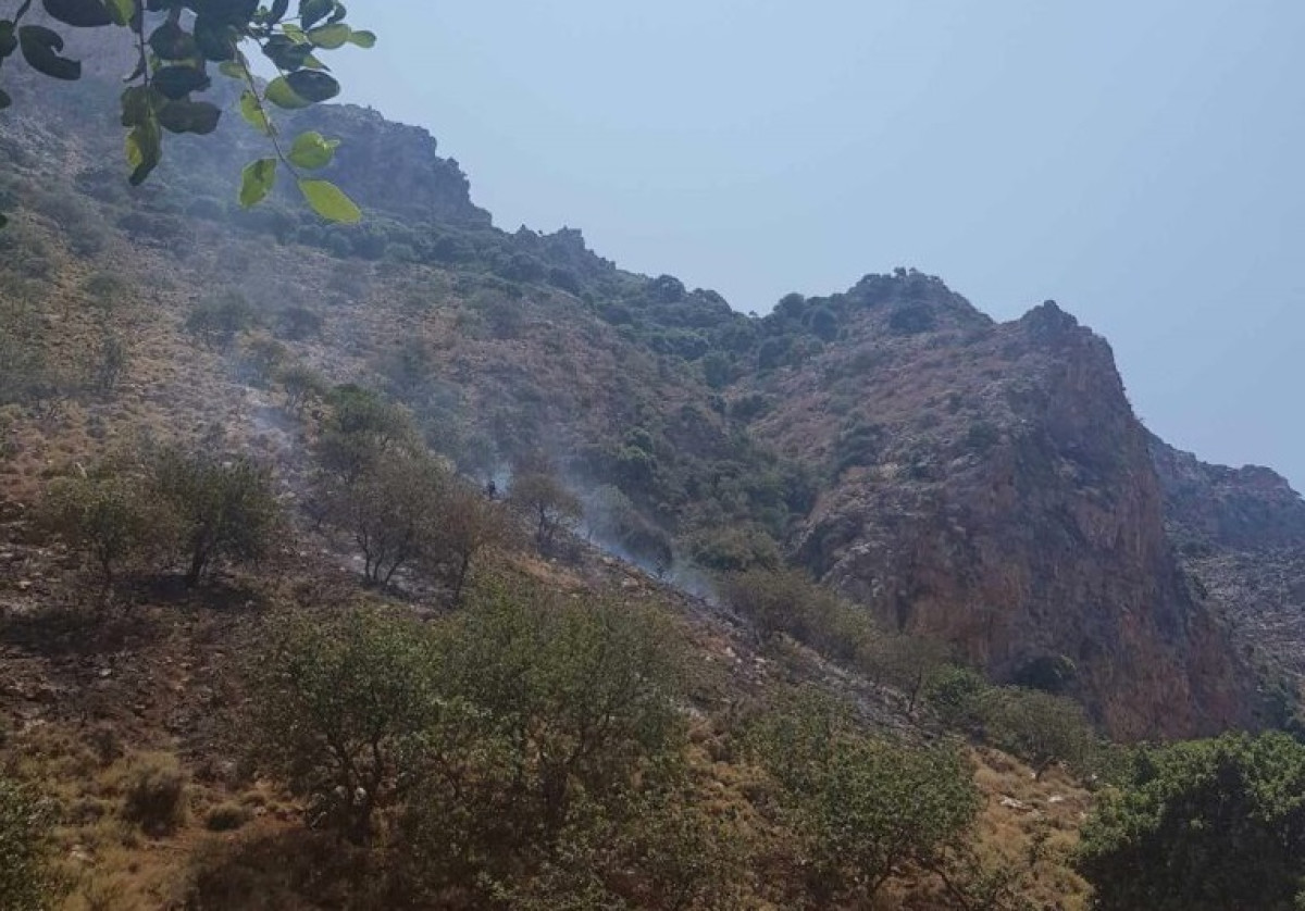 Φωτιά κοντά στα Τέμπη- Ισχυροί άνεμοι, κινητοποιήθηκαν και εναέρια μέσα