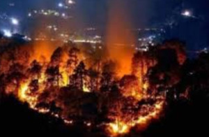 Πυρκαγιά στη νότια Αλβανία: Τρεις τραυματισμοί και εκκένωση 2.000 κατοίκων στη Δελβίνα