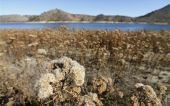 Σε κατάσταση εκτάκτου ανάγκης η Καλιφόρνια λόγω παρατεταμένης ξηρασίας