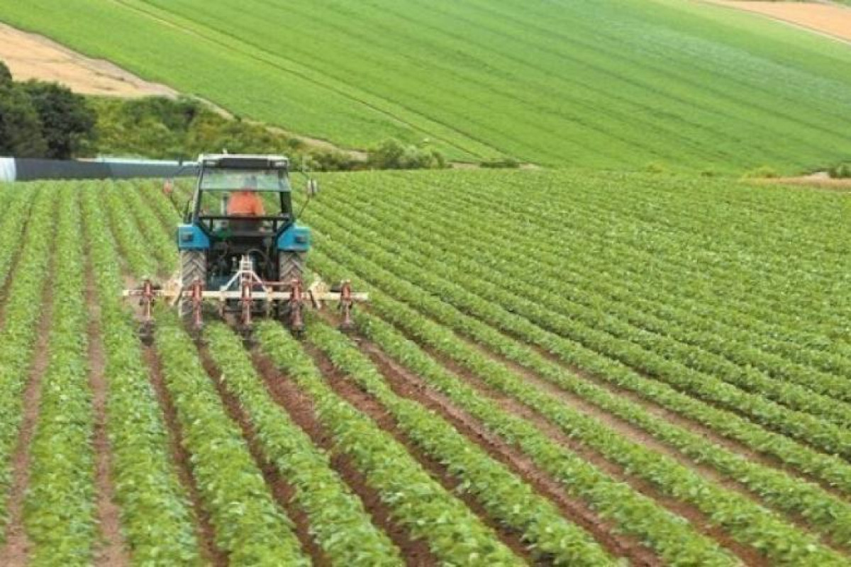 ΕΦΚ: Κατατέθηκαν €39 εκατ. σε περισσότερους από 307.000 αγρότες