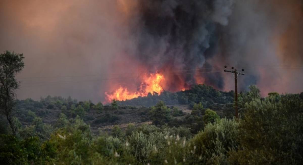 Πυροσβεστική: 36 δασικές πυρκαγιές το τελευταίο 24ωρο