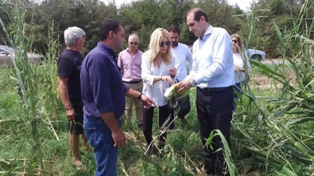 Επίσκεψη Αραμπατζή στις πληγείσες αγροτικές περιοχές