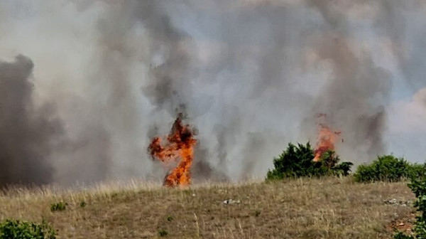 Σε ύφεση η φωτιά στο Αλιβέρι: Απεγκλώβισαν ηλικιωμένη - Συνελήφθη 60χρονος