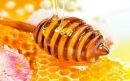 Eπιδότηση 50% με 65% σε μελισσοκόμους για μονάδα τυποποίησης μελιού- Οι όροι και οι προϋποθέσεις- Ποιο είναι το κόστος εγκατάστασης ενός μελισσιού
