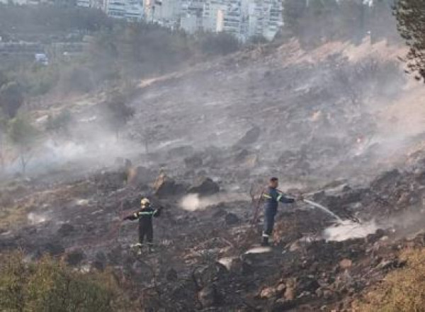 Κικίλιας: Από βεγγαλικά η πυρκαγιά στο Άλσος Βεΐκου-Προσήχθησαν τρεις ανήλικοι