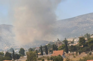 Πυρκαγια σε χαμηλή βλάστηση στην Αλυκή Βοιωτίας - «Προλάβαμε τα χειρότερα» δήλωσε ο δήμαρχος Θηβαίων