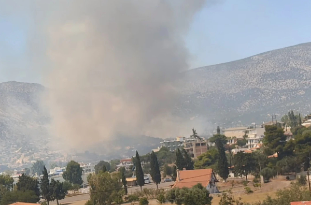 Πυρκαγια σε χαμηλή βλάστηση στην Αλυκή Βοιωτίας - «Προλάβαμε τα χειρότερα» δήλωσε ο δήμαρχος Θηβαίων