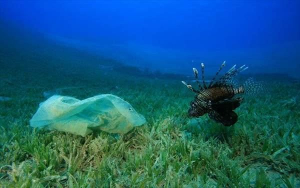 Μέχρι το 2050 τα πλαστικά θα είναι όσα και τα…ψάρια!