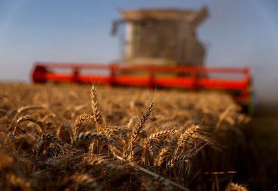 Νέο ρεκόρ στις προβλέψεις για τις εξαγωγές σιτηρών της Ρωσίας