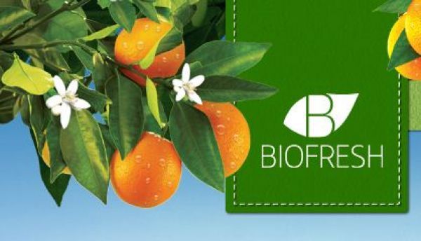 BIOFRESH: Με εξαγωγές σε 38 χώρες παίρνει τα εύσημα του Τελωνείου Πειραιά ως leader των ελληνικών εξαγωγών