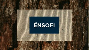 ĒNSOFI Α.Ε.: Νέο εταιρικό σχήμα – Μετασχηματισμός της ΤΕΜΕΣ Α.Ε.