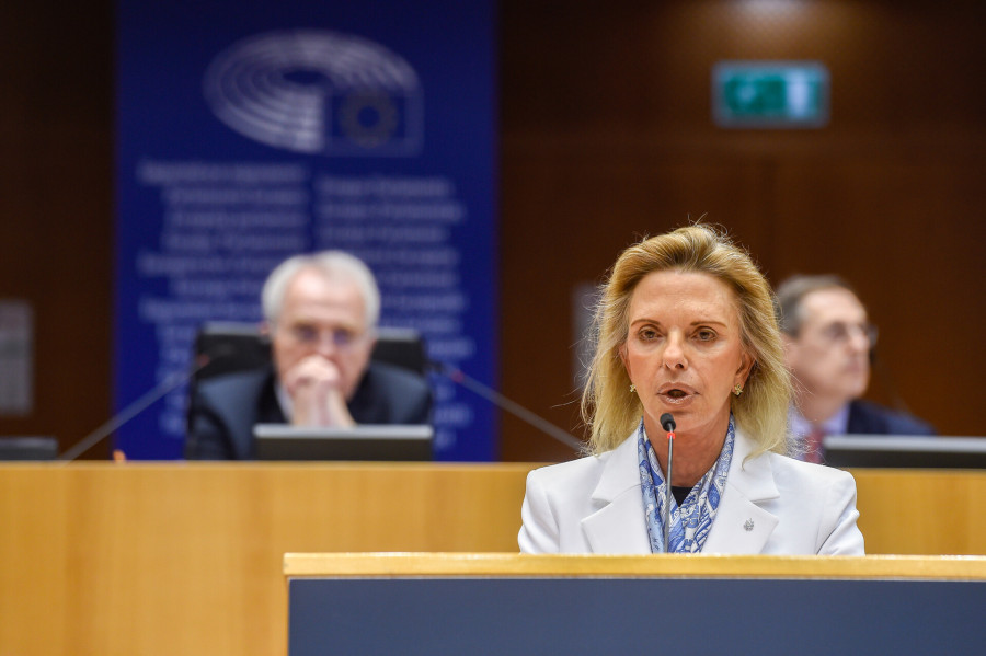 Βόζεμπεργκ: Παραπληροφόρηση το ψήφισμα για το κράτος δικαίου στην Ελλάδα
