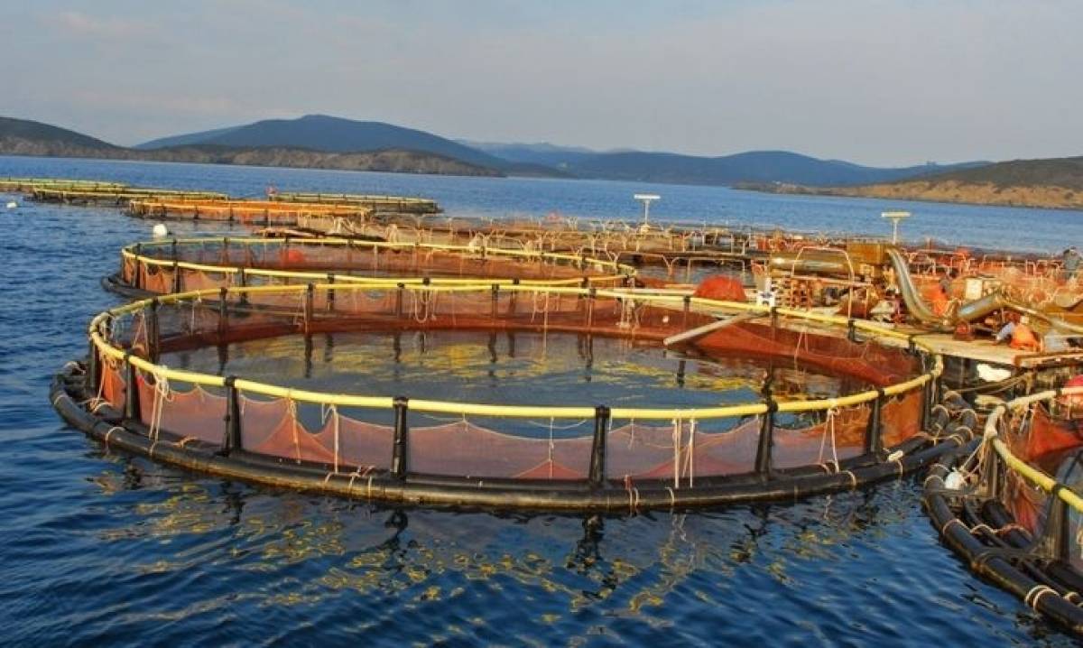 Νηρέας-Σελόντα: Περιμένουν το πράσινο φως για την πώληση των assets