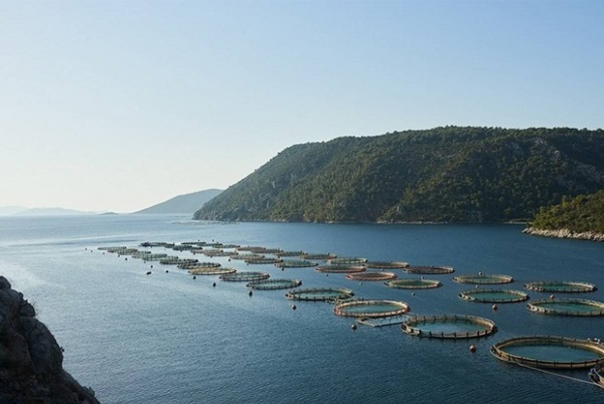 Avramar: Το «σωσίβιο» των €20 εκατ.- Οι αναμονές της αγοράς