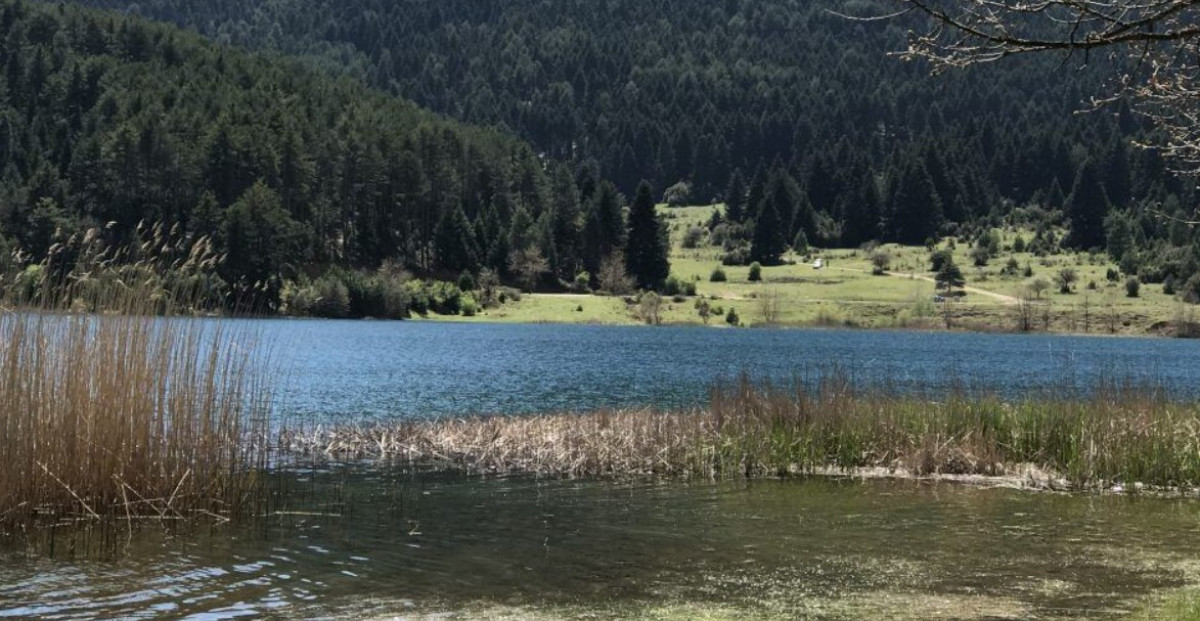 Σε πλήρη εφαρμογή η αστυνόμευση περιοχών Natura λόγω κινδύνου πυρκαγιάς