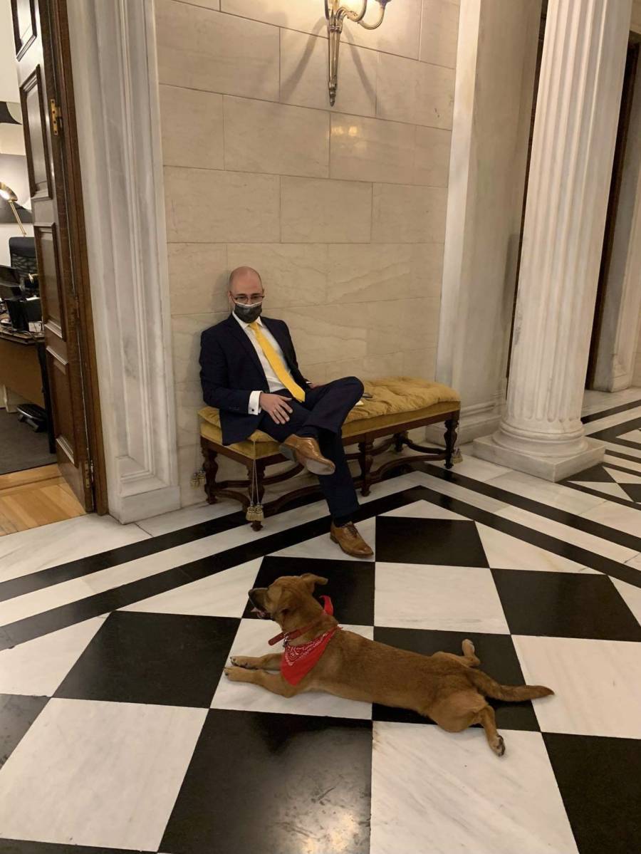 Ο Μπογδάνος διάλεξε το «σωστό» παπούτσι για την φωτογραφία με τον πρωθυπουργικό σκύλο