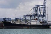 Κρυφτούλι των πλοίων της Β.Κορέας με τους ελεγκτές του ΟΗΕ