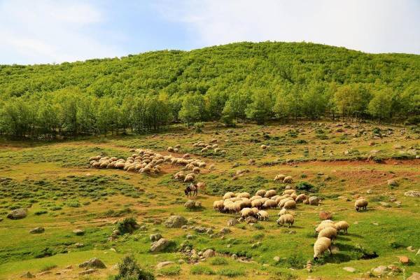 Κάμψη 4,5% του δείκτη τιμών εκροών στη γεωργία τον Μάρτιο