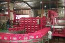 Coca-Cola: Σχεδιάζει περικοπές 2000 θέσεων εργασίας διεθνώς