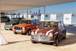 Με μεγάλη επιτυχία ολοκληρώθηκε το THE MINI FESTIVAL