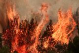 Υψηλός κίνδυνος πυρκαγιάς τη Δευτέρα (23/8)-Οι περιοχές κατηγορίας κινδύνου 4