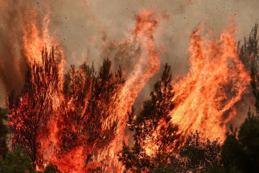 Υψηλός κίνδυνος πυρκαγιάς τη Δευτέρα (23/8)-Οι περιοχές κατηγορίας κινδύνου 4