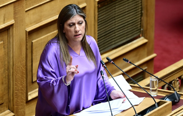 Κωνσταντοπούλου: Άρση ασυλίας για συκοφαντική δυσφήμιση - Βολές Μηταράκη για εμπλοκή της σε ΜΚΟ
