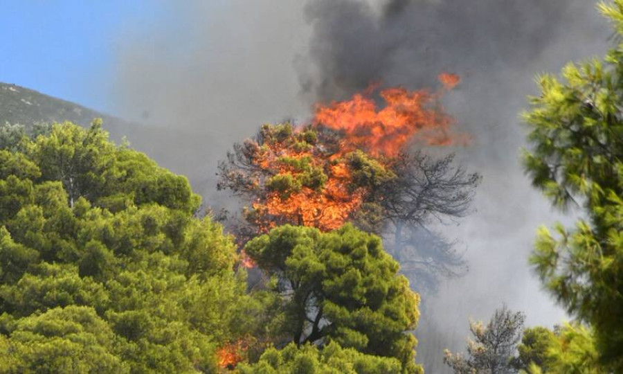 Η αυστηροποίηση των ποινών για τους εμπρηστές και τα ερωτήματα για την εκ των υστέρων νομοθέτηση