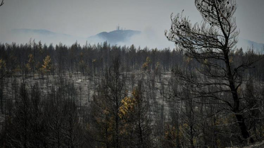 Περισσότερα από 1.200.000 στρέμματα κάηκαν έως χθες