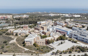 Πανεπιστήμια Αριστείας: 74 νέα κοινά Μεταπτυχιακά προγράμματα μεταξύ ελληνικών και ξένων πανεπιστημίων