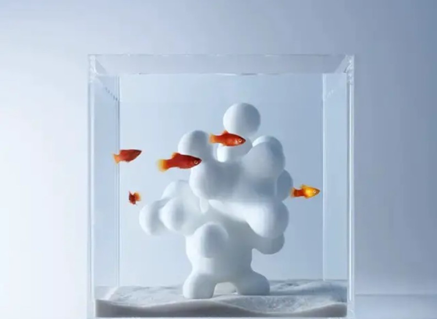 Ενυδρεία με 3D διακοσμητικά