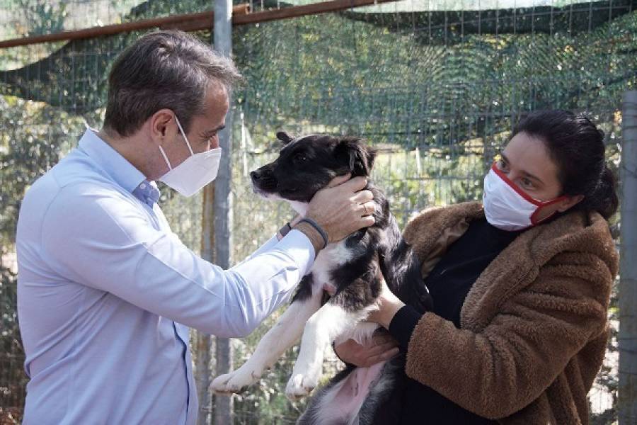Το μήνυμα Μητσοτάκη για την Παγκόσμια Ημέρα Αδέσποτων Ζώων (video)